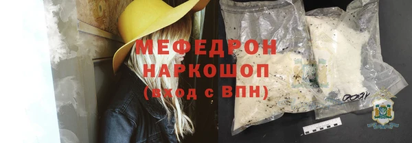 индика Зеленодольск