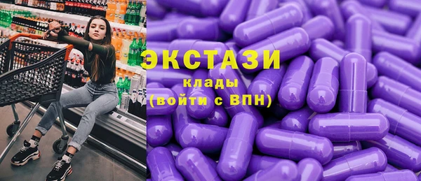 индика Зеленодольск
