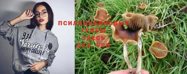 ГАЛЛЮЦИНОГЕННЫЕ ГРИБЫ Каменногорск