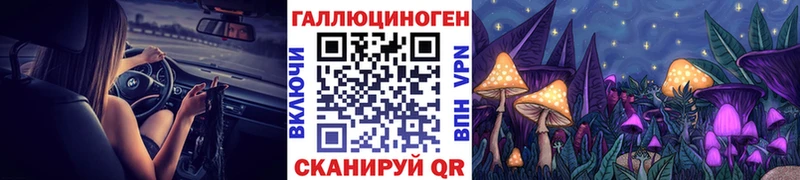 блэк спрут зеркало  Можайск  Галлюциногенные грибы GOLDEN TEACHER 